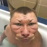 Гений Евгений avatar
