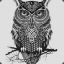 OwlieBeth