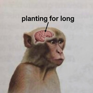 Bush Doofer