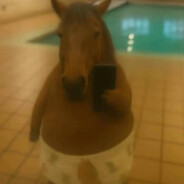 こんにちは、イコ・ヨ