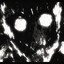 pyc_tm