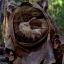 A Very Frisky Ewok