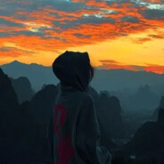 花园宝宝1号小菜鸡