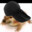 Durag Activity