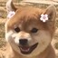 买米当卡