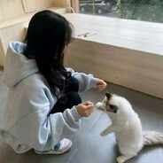 猪猪