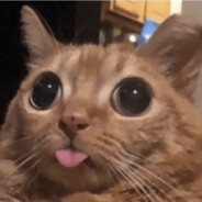 Meow avatar