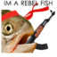 A RebelSalmon