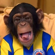 agresif2008@sagolera.net