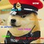 Colonel Doge