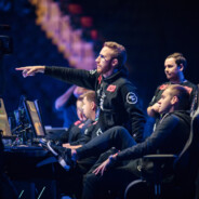 Domestic Violence King