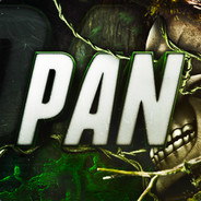 P      a     n - steam id 76561197963146345