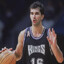 peja stojakovic
