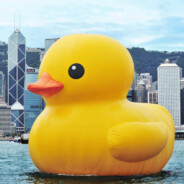 Haitian on Probation