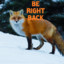 MrFoxoTTV