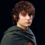 Frodo Baggins