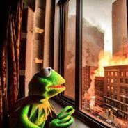 Kermit 1G - steam id 76561197960482930