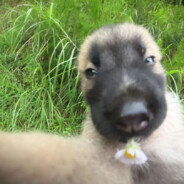 别扣我肚脐眼呀