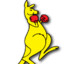 Kangaroos1130
