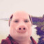 John Pork