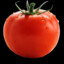 tomate