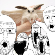 xddqqt