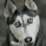 起个破名真费劲