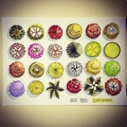 hi sukkie - steam id 76561198071024805