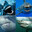 SoMuchShark