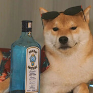 185纯情男大学生