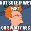 Wet Sweaty Fart