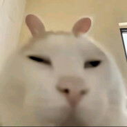 我的超级大脑告诉我该使用我的超级肌肉了