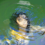 小朋友要懂礼貌