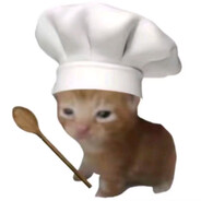 Cooking cat