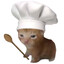 Cooking cat