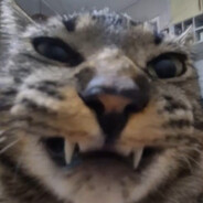 <°}}}><