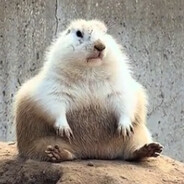 lazygroundhog