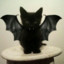 Batty Cats