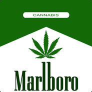 宮本