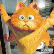 РОЗОВЫЙ ГУСЬ