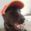 Black_DoG