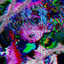XyPh3r