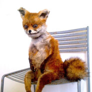 Книга братан