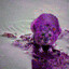 rat.bmp
