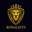 agentbradz_1