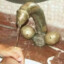 Porku