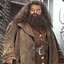 Rubeus Hagrid