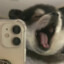 CCCC