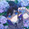 Keima