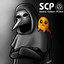 SCP found 愛菩提